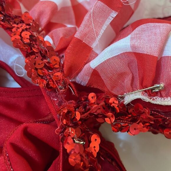 Vintage 90s Dolly Parton Picnic Southern Plaid Dance Figure Skating Costume - Picture 10 of 13